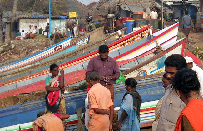 Aldeia Tradicional e Centro de Escultura de Elefantes de Madeira - Foto 4