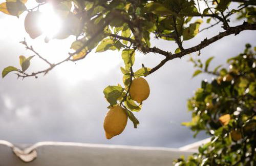 Casa rural Can Rotes con jardin y barbacoa - Foto 35