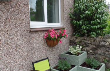 Apartment/Flat 3 - Foto 38