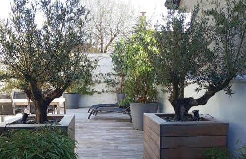 Large house terrace entrance Le Touquet - Foto 13