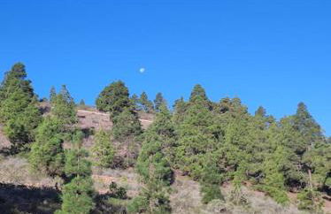 Carmen's house - Foto 14