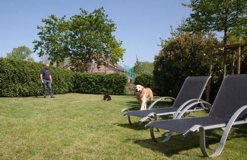 Austernfischer - Foto 7