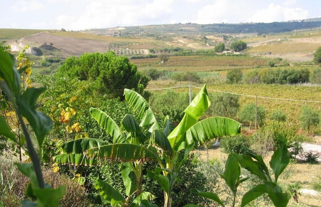 Terme Acqua Pia Wellness & SPA - Foto 38