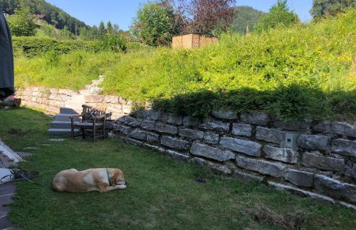 Ferienwohnungen Oberau - Foto 7