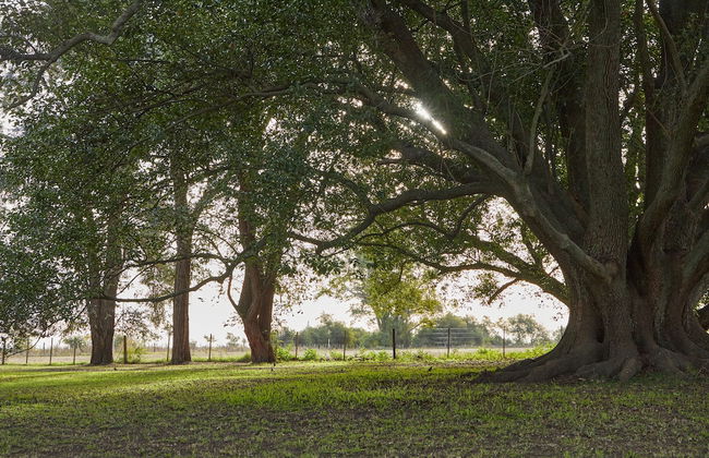 Hestia at San Antonio de Areco - Foto 60