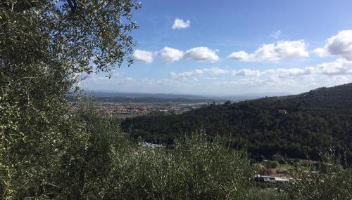 Casale l’oliveta - Foto 4