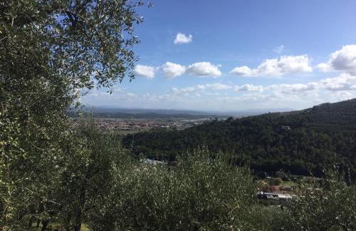 Casale l’oliveta - Foto 4