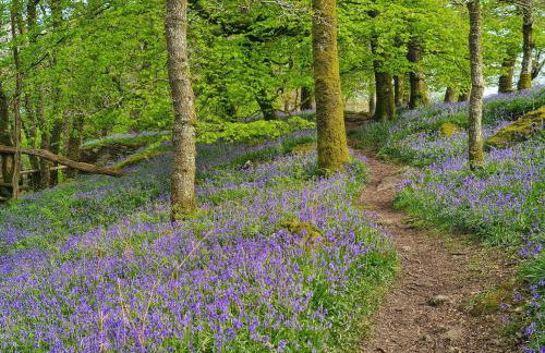 Southlake Barn - Foto 13