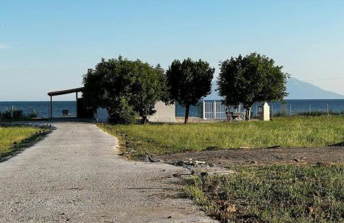 Thea Resort-Aegean Beach Front Experience by GG - Foto 38