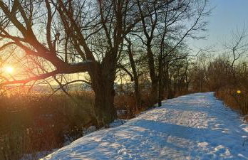 Oaza spokoju - Walendów - Foto 44