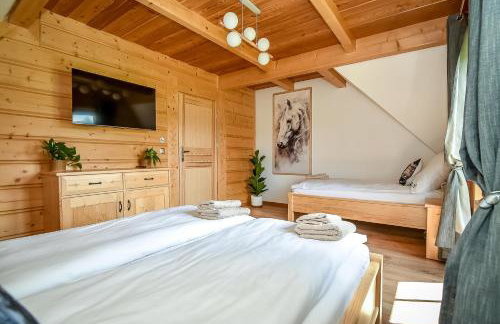 Domki Wiśta Wio - Foto 23