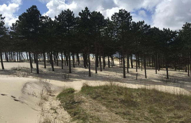 Holiday Home in Schoorl Near Sandy Beaches - Foto 26