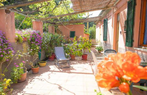 Appartamenti Viticcio Aurora e Fiorita - Goelba - Foto 7