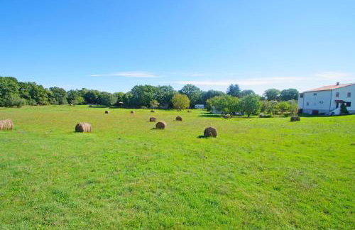 Villa with private pool in village Šišan - Foto 20