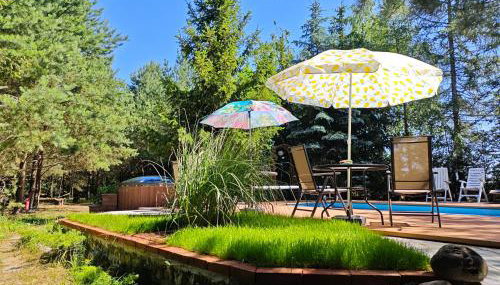 Dom z basenem nad Narwią - Foto 5