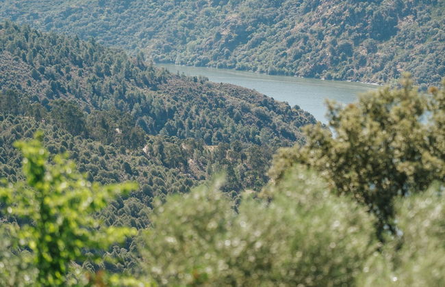 Casa das Arribas - Rio Douro aos seus pés - Foto 50
