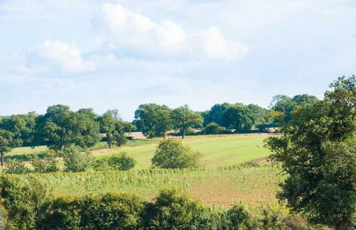 The Stables, relax in 5 star style and comfort with lovely walks all around - Foto 29