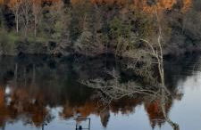 Cantinho do Rio - Foto 49