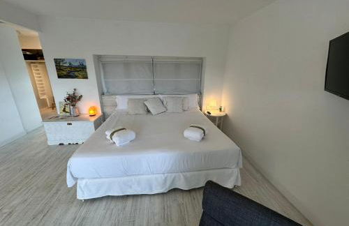 Árbol Blaanco - Foto 10