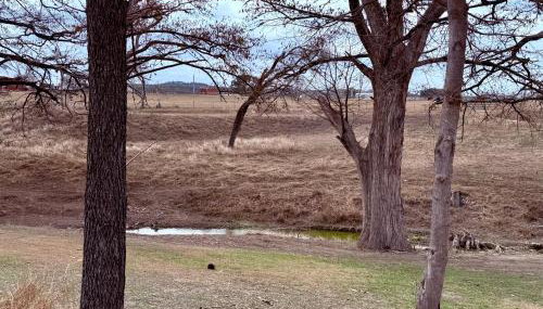 The Comfort Retreat - Foto 2