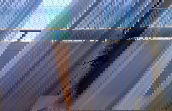 CJC Short Stay Natal - Photo 48