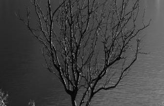 Appartamenti Monti Como Lake - Foto 31