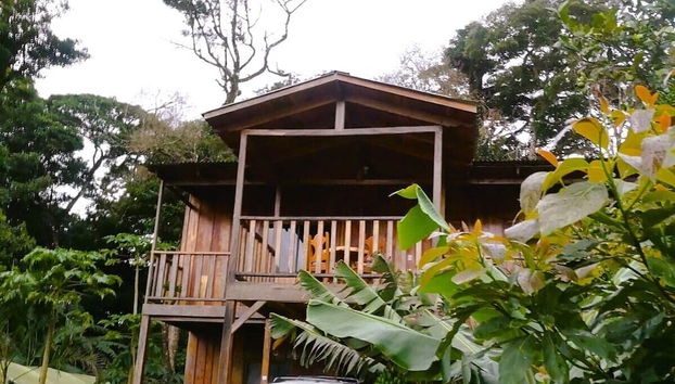 Vista dalla struttura