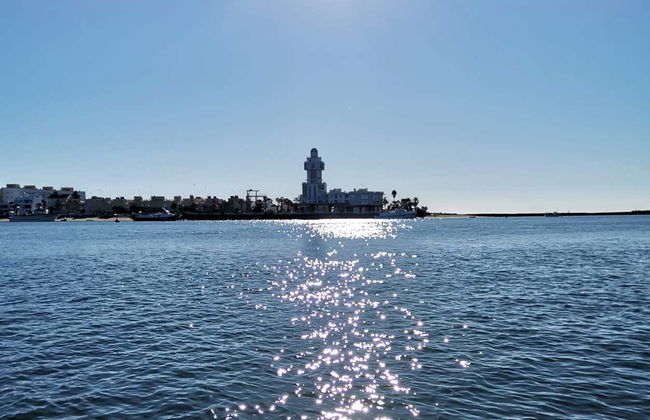 Giro in barca tra le paludi di Isla Cristina e Punta del Moral - Foto 12