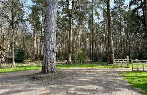 Lynford Holiday Cottages nestled in the heart of Thetford Forest - Foto 42