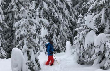 Avoriaz le M1212 - Photo 41