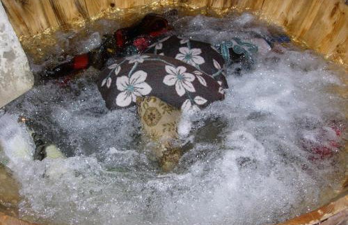 Xenonas Kypseli - Foto 66