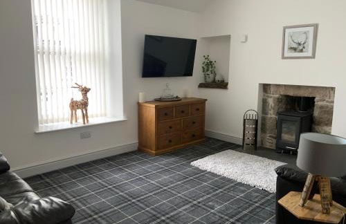 Deeside Snugs Apartments - Foto 60