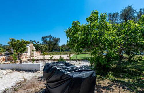 Il Canto della Cicala - Foto 31