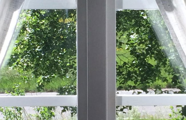 Swedish Idyll - Foto 15