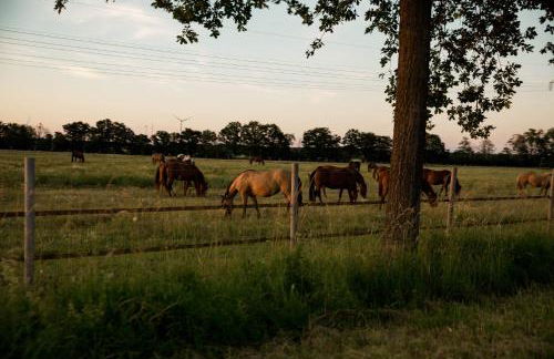 Moderne Ferienwohnung mit Seeblick & Terrasse 96qm - Foto 28