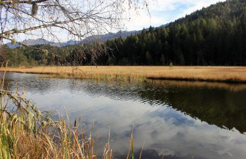 La Madonnina - Foto 44