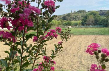 Aspasias Traditional Studio - Foto 21