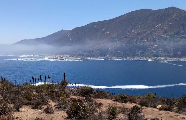 Avistamiento de pingüinos en la isla Cachagua - Foto 6