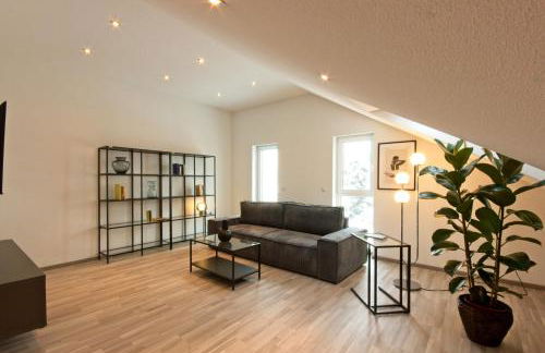 Bonnystay Rheinfelden - Haus mit Garten und zwei separaten Wohnungen - Foto 43