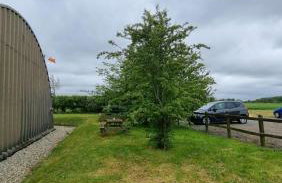 Escape and Relax on the Beautiful Coast North Norfolk - Foto 28