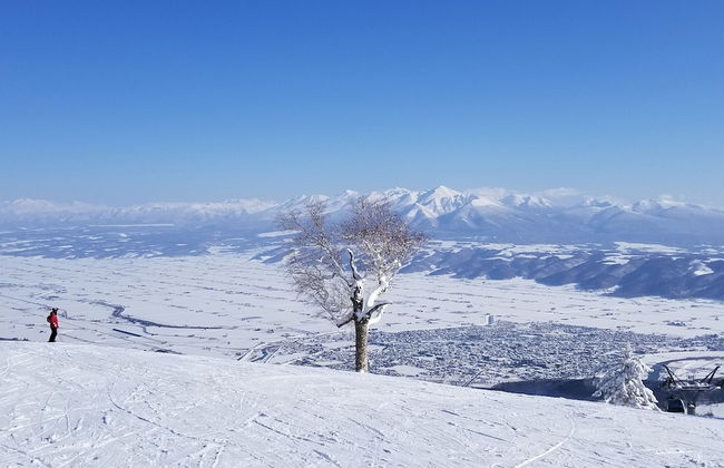 Donguri House - Foto 33