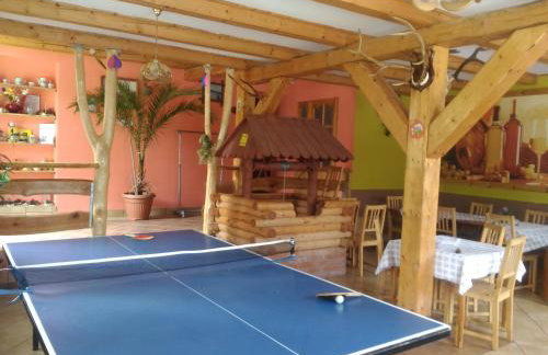 AGROTURYSTYKA POD ŚNIEŻNĄ - Foto 54