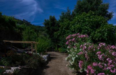 Bosque da Fantasia - Foto 24