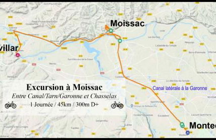 L'ile aux oiseaux - Foto 37