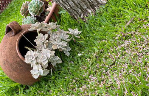 Casa dos Avos - Photo 43