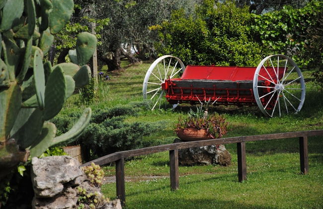 Tenuta Di Pontesodo - Foto 28