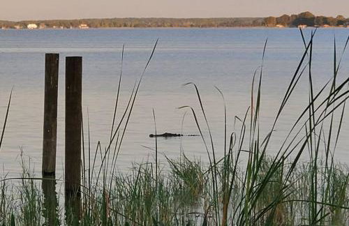 Camp St. Cabanas Unit 2 on Lake Dora - Photo 12