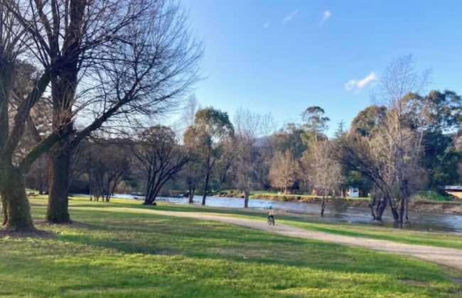 Discovery Parks - Mount Buffalo - Photo 58