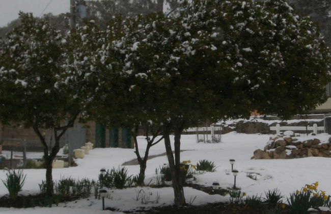 Rainbow Pines Tourist Caravan Park - Foto 25