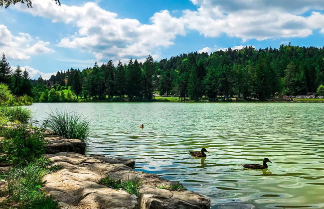 Holy Harmony Suites Apartments - Foto 16